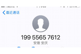 肃宁专业要账公司